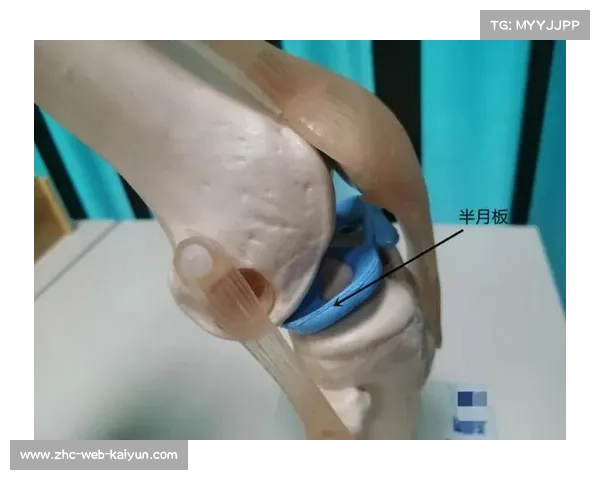 武术康复跟踪研究揭示85%职业选手膝关节功能明显改善效果